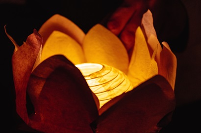 A lit paper lantern inside a paper lotus flower. The light from the lantern is a warm and inviting yellow and the petals from the paper flower bend over the lantern a little.