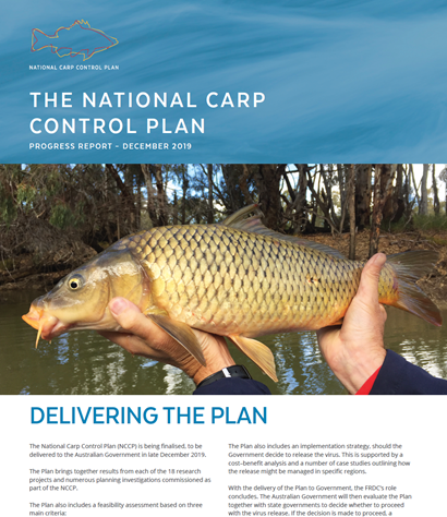 A picture of the front page of a progress report on The National Carp Control Plan, front page image including a picture of hands holding a European carp. 