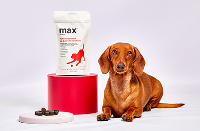 Dog sitting next to a bag of max product by CannPal