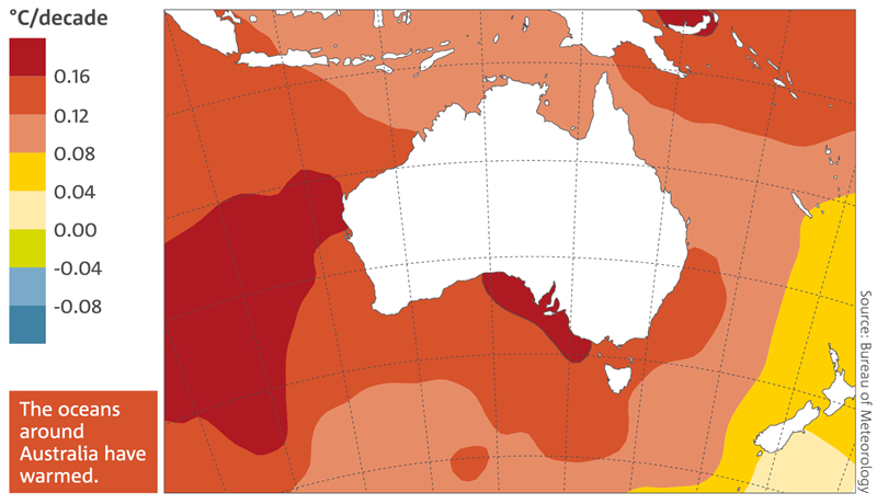 Map: Trends in sea surface temperature in the Australian region from 1950 to 2015. The oceans around Australia have warmed.