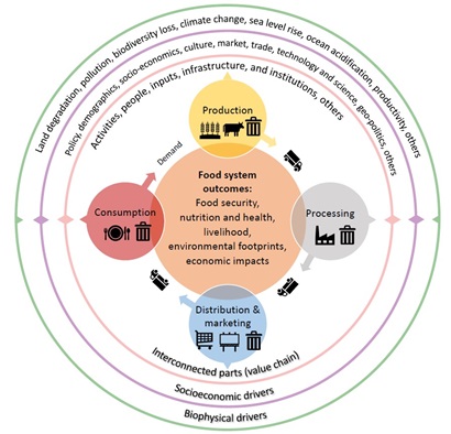 A diagram describing a wholistic model for food systems