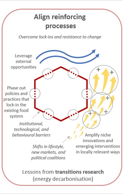 A diagram describing alignment for food systems