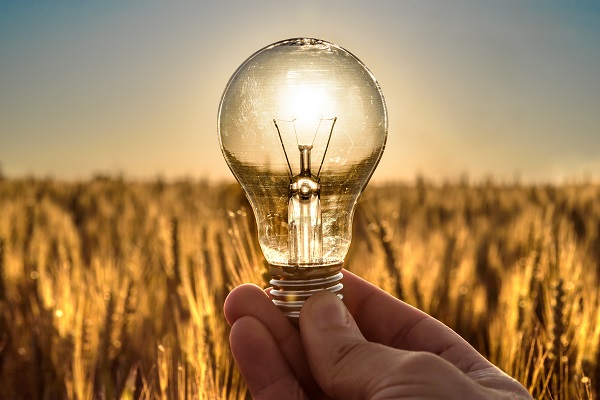 AgCatalyst 2024 Is Coming To Brisbane CSIRO   LIGHT BULB AdobeStock 352951351 Associated 