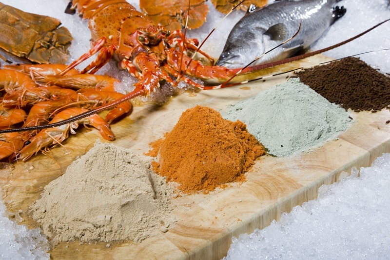 Lobster, Moreton Bay bug, prawns and fish displayed behind a wooden board piled with coloured powders
