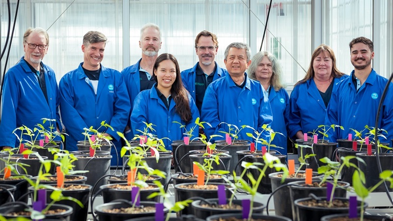 Group of people in blue lab coats standing behind potted seedlings