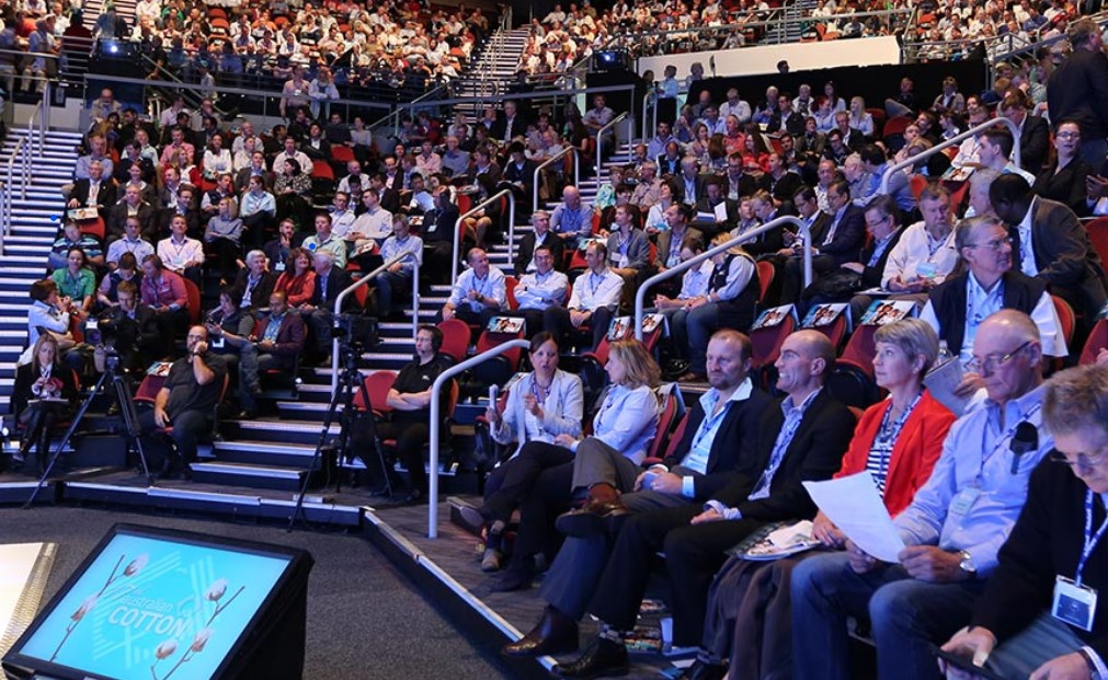 Audience in arena seating