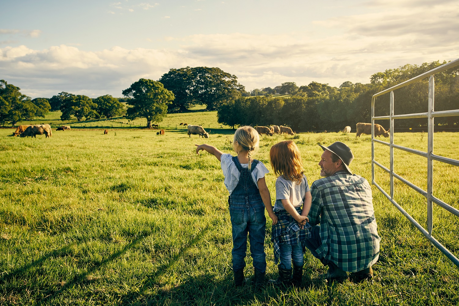 Sustainable Weed Pest And Disease Control CSIRO   Family Livestock Farm 