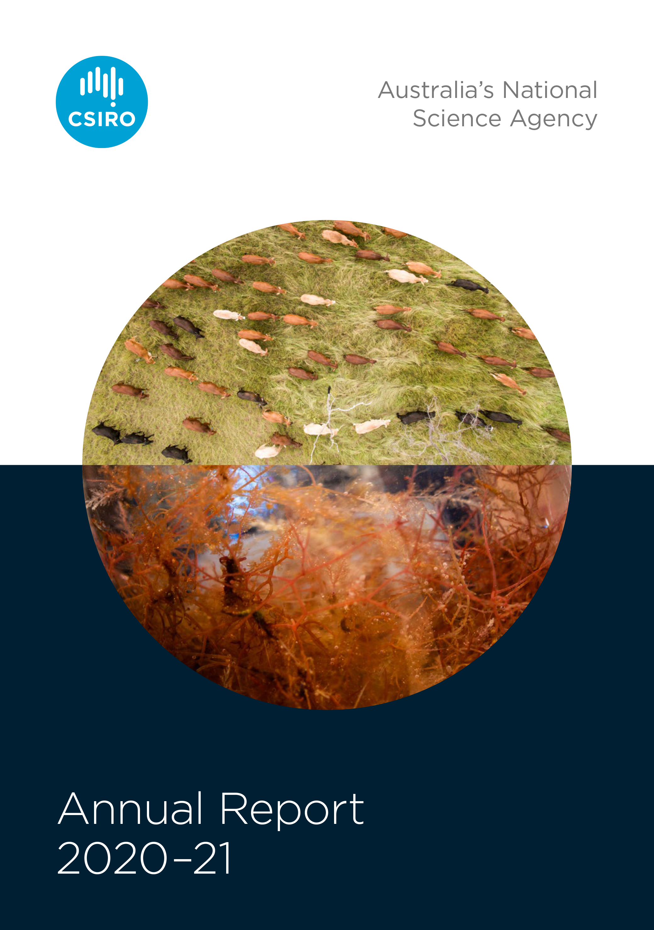 Front cover of the Annual Report showing images of cows in a field and close up of seaweed under a microscope