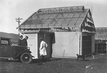 image of insect building at black mountain 132 c1933
