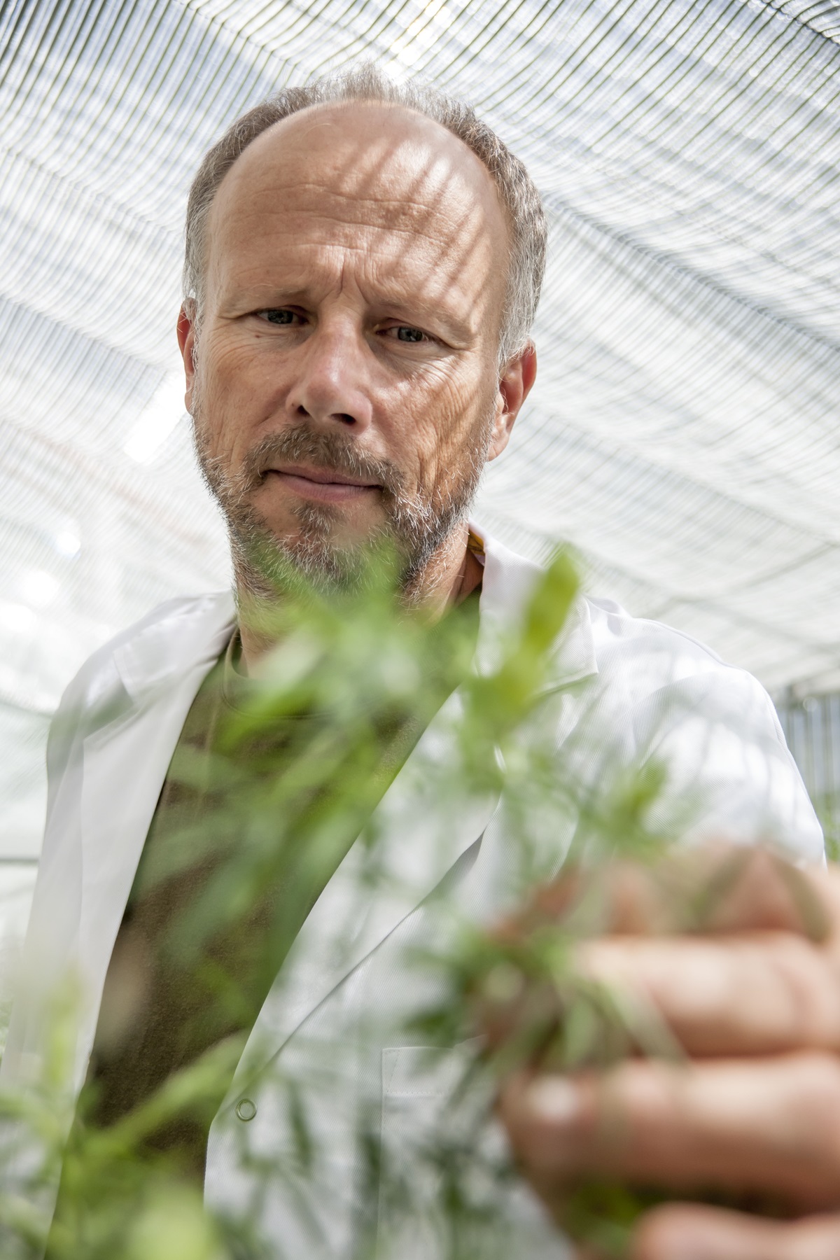 Plants - CSIRO