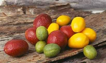 Image of Australian Blood, Sunruse and Outback Limes