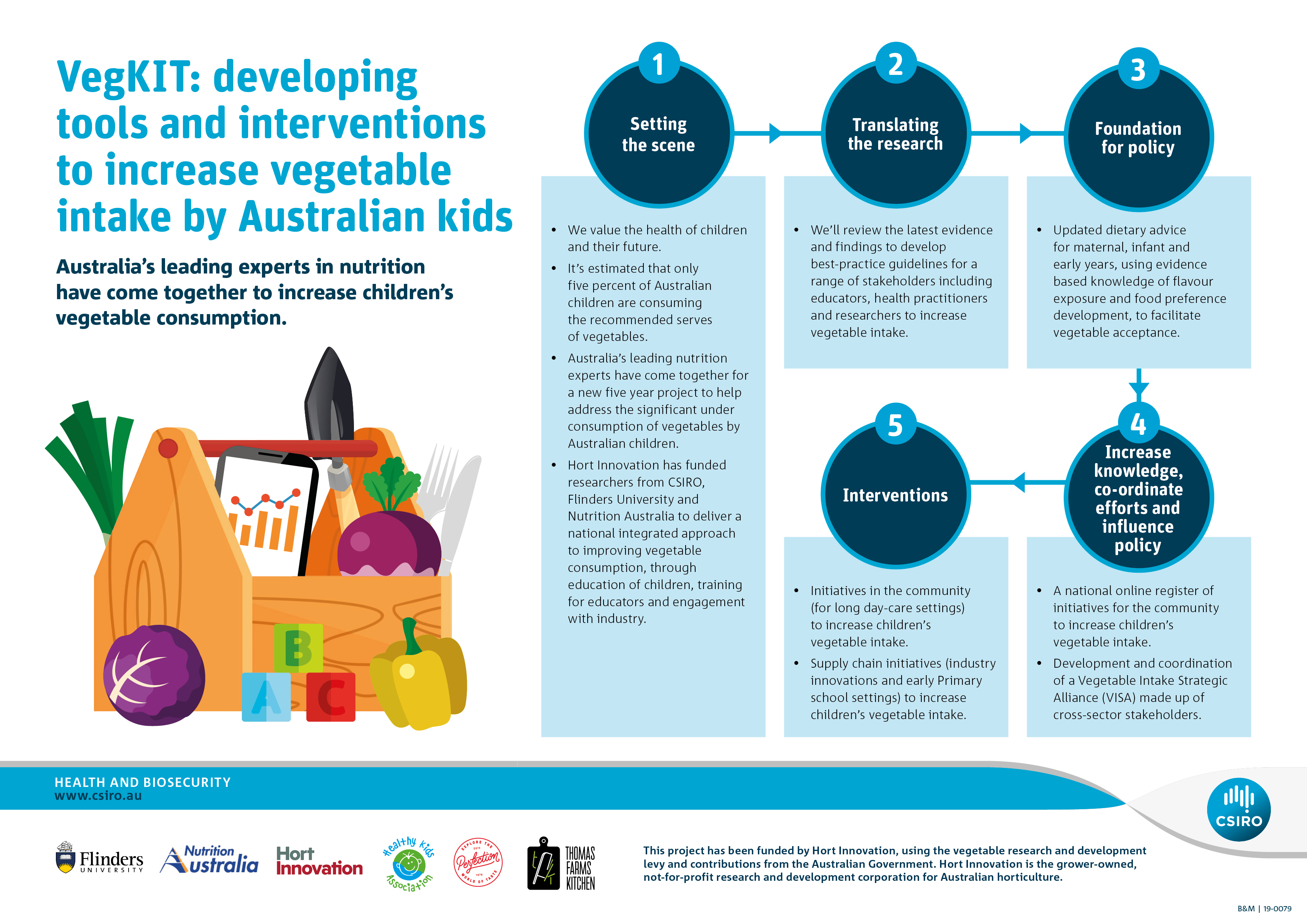 An info-graphic explaining the different activities being undertake as part of the VegKIT project