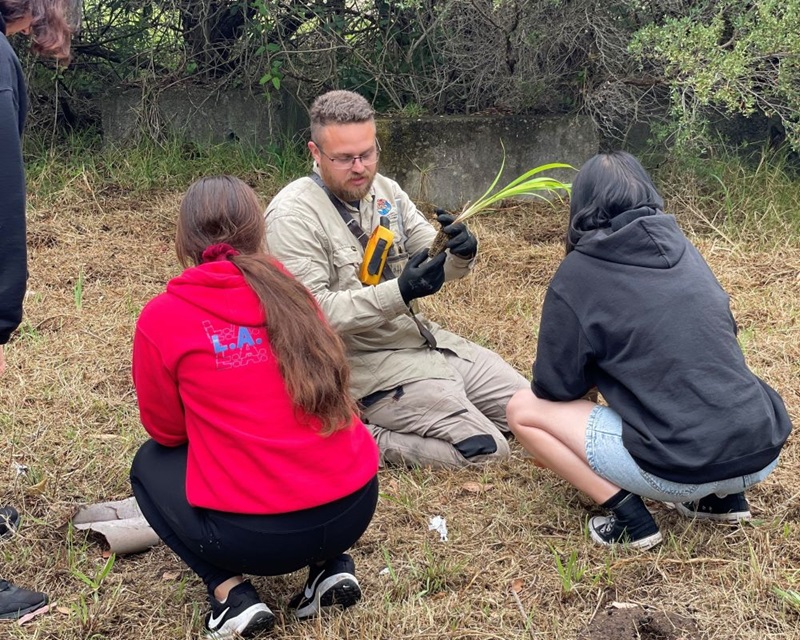 Students working with the Local Aboriginal Land Council planting trees for bush rejuvenation.  