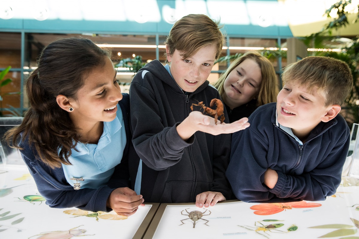 visit csiro canberra