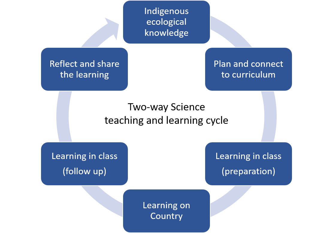 The two-way science learning cycle: Indigenous ecological knowledge goes to plan and connect to curriculum goes to learning in class (preparation) goes to learning on-country goes to learning in class (follow up) goes to reflect and share the learning.