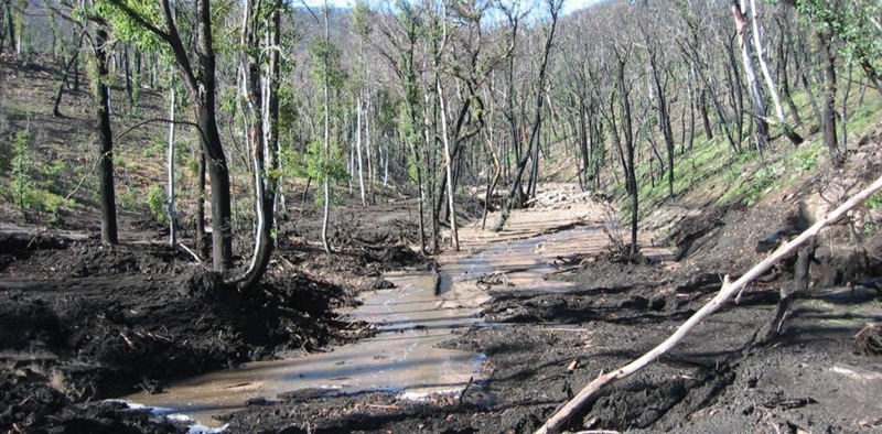 Image of muddy waterway surrounded by burnt trees and land.