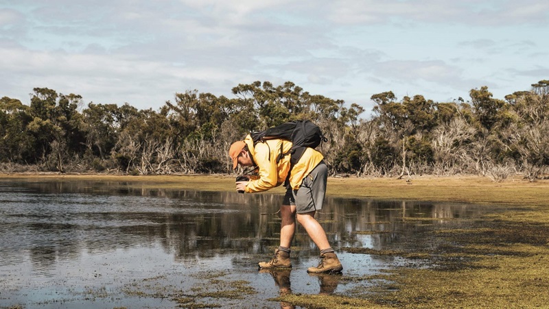 A man leaning over photographing wetlands