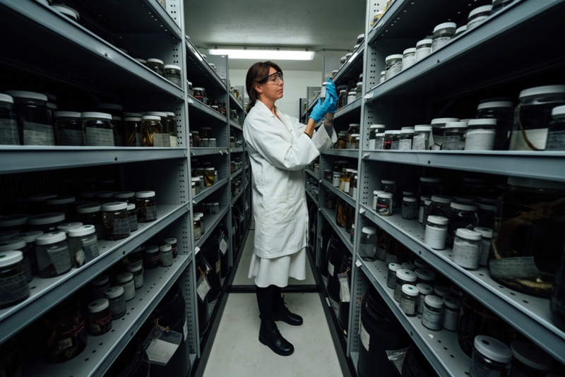 A woman observes a jar between two walls of shelves with multiple jars.