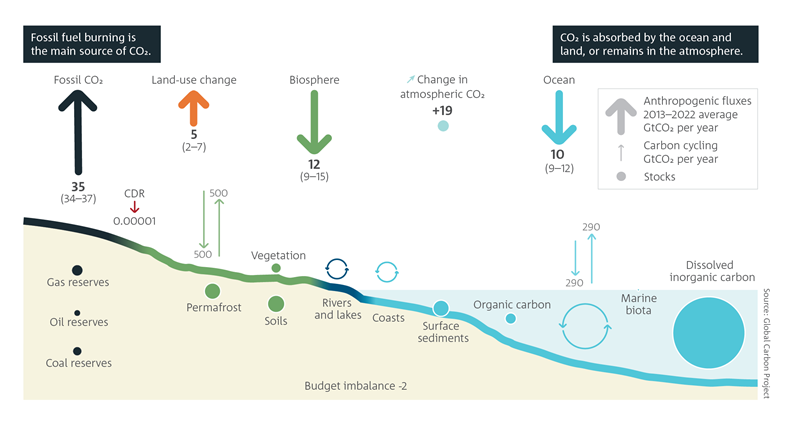 Fossil fuel burning is the main source of CO2. CO2 is absorbed by the ocean and land, or remains in the atmosphere. Stylised figure showing major sources and sinks of global CO2 in marine and terrestrial systems between 2013 and 2022. Fossil fuels make the largest contribution to atmospheric CO2 with the biosphere and oceans being the largest CO2 sinks. For a full description of this figure please contact: www.csiro.au/contact]