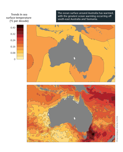 The ocean surface around Australia has warmed, with the greatest ocean warming occurring off south-east Australia and Tasmania. Map of the Australian region, which shows trends in mean annual sea surface temperatures from 1950 to 2023 (top map) and from 1981 to 2023 (bottom map). The highest temperature change since 1981 (0.4 degrees Celsius per decade) appears in the Tasman Sea, and off the east coast of NSW. For a full description of this figure please contact: helpdesk.climate@bom.gov.au