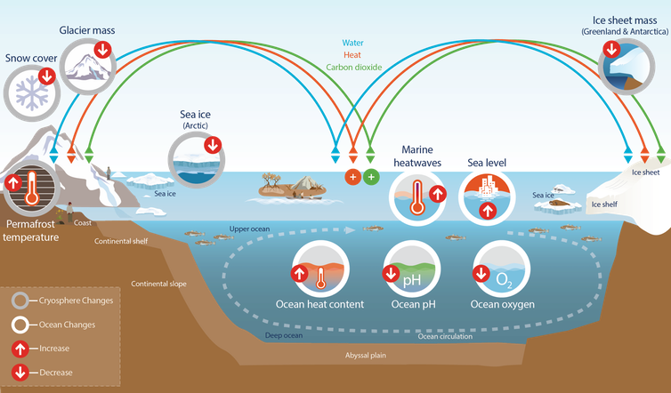 Infographic style image describing changes to the ocean.