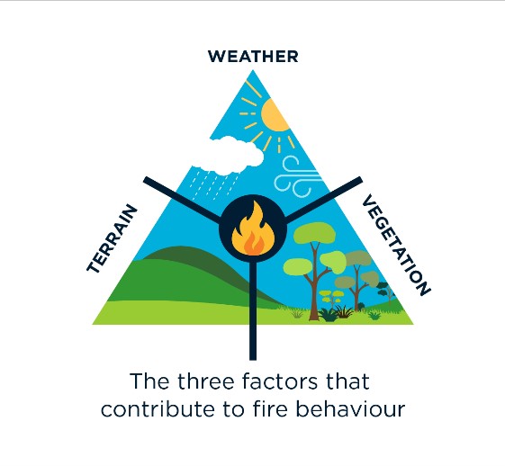 The 2019-20 Bushfires: A CSIRO Explainer - CSIRO