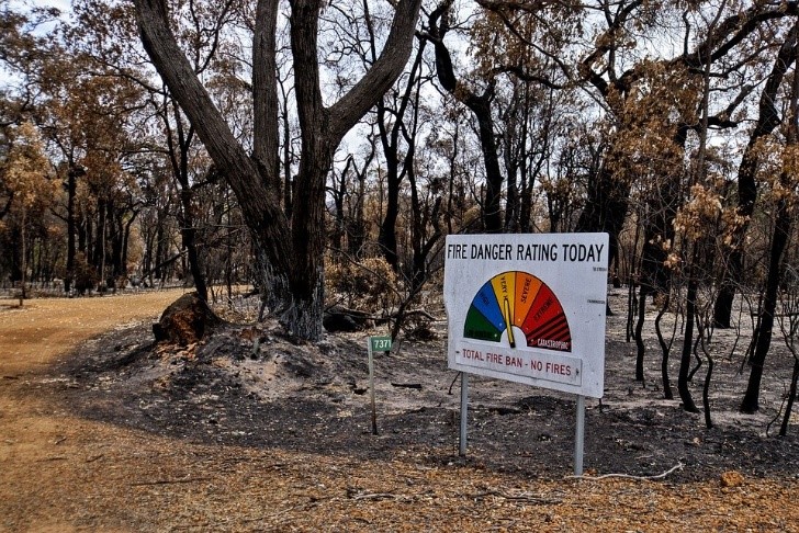 The 2019-20 Bushfires: A CSIRO Explainer - CSIRO