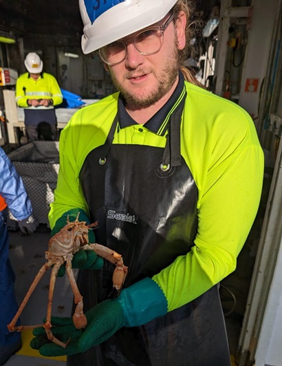 A man in a hard hat holding a crustacean.