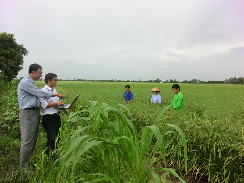 Researchers in a crop field looking at data on a computer