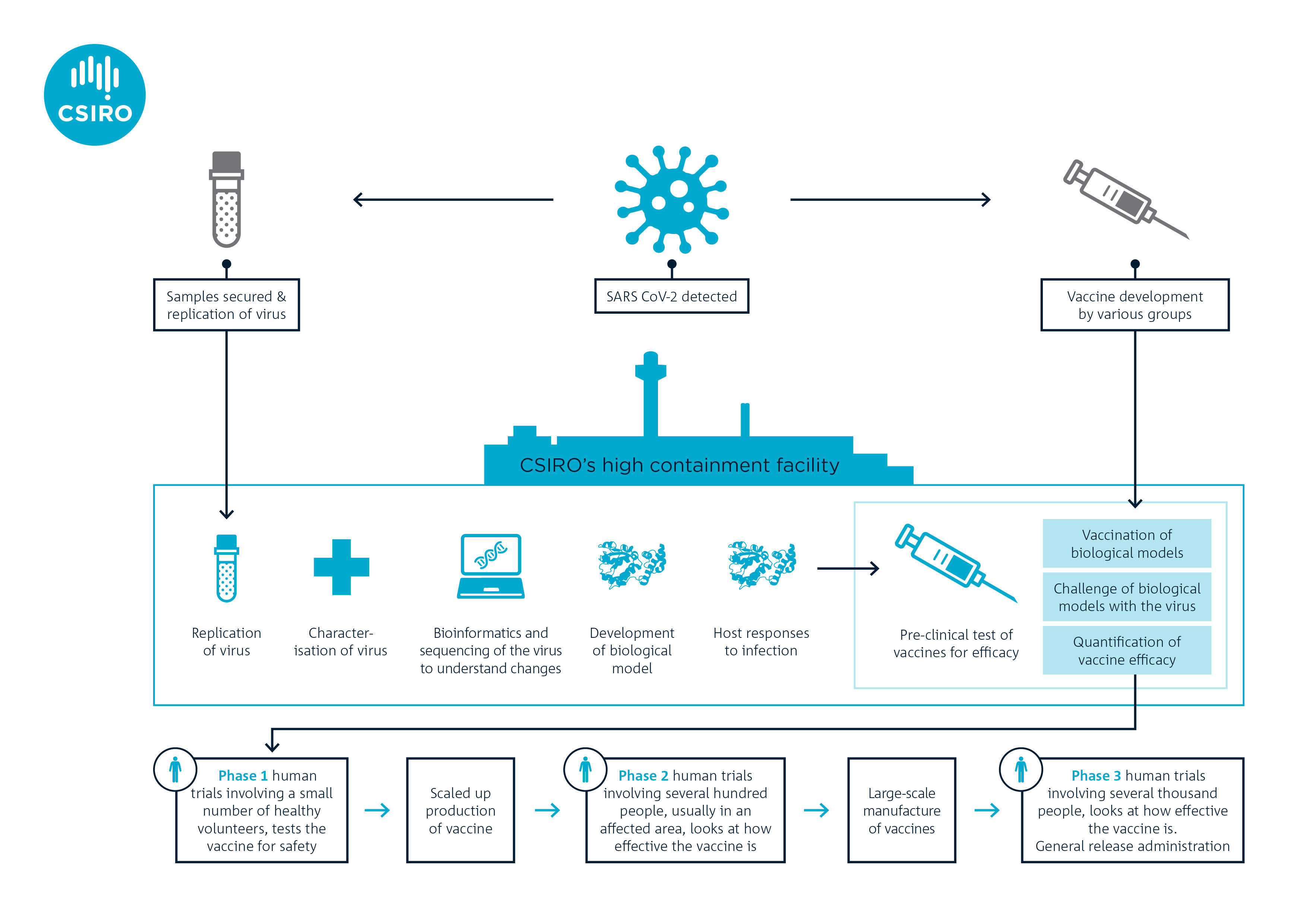 Infographic showing the steps involved in the COVID-19 vaccine development, trials and manufacture.
