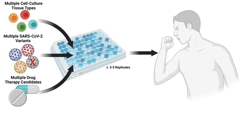An illustration with coloured dots and medicines on the left, representing the SARS-CoV-2 virus, human tissue cells and drugs, in the middle a rectangular plate with multiple holes and on the right, a picture of a the upper half of a person. 