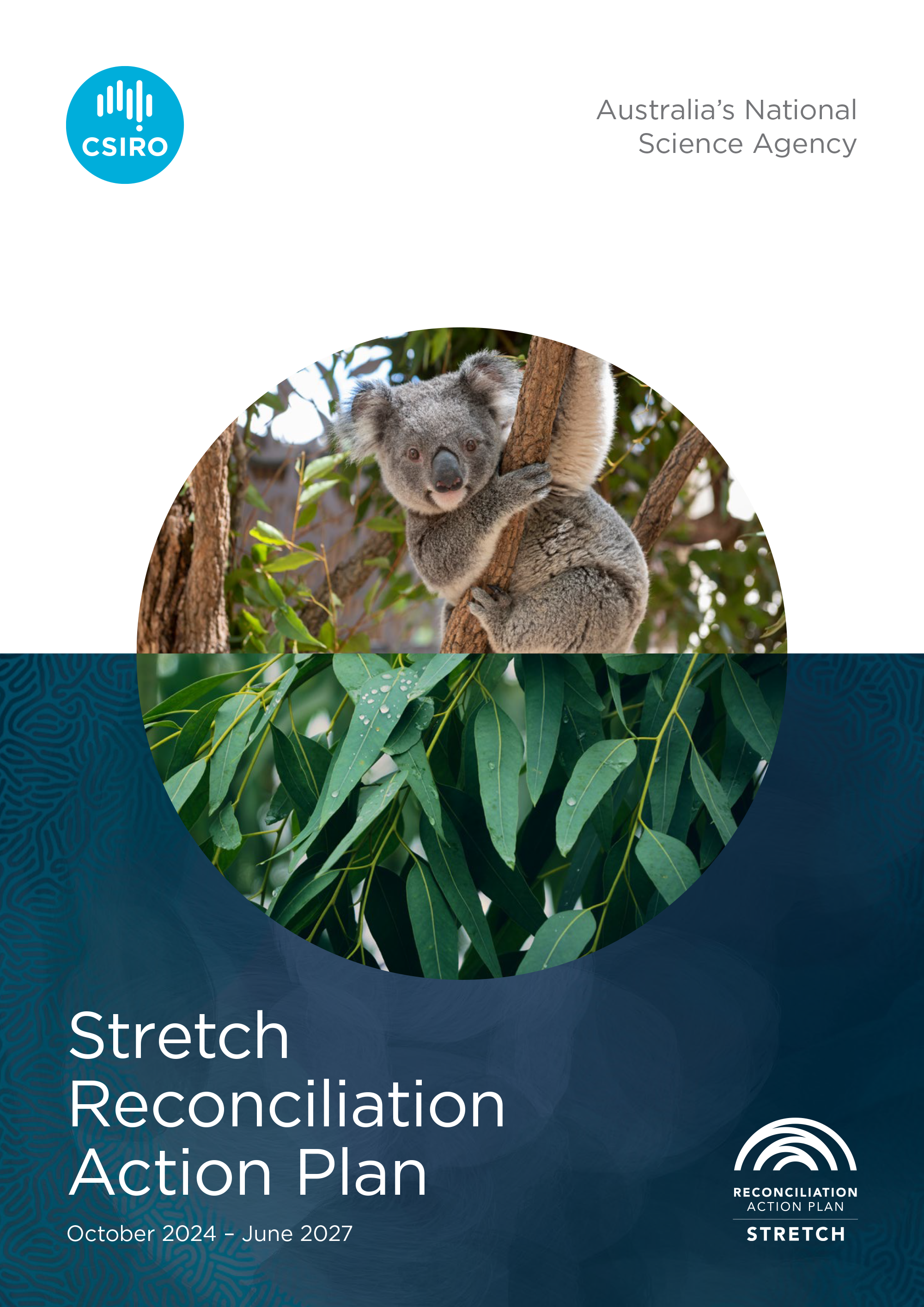 The cover of thre Stretch RAP with koalas and euchalyptus leaves