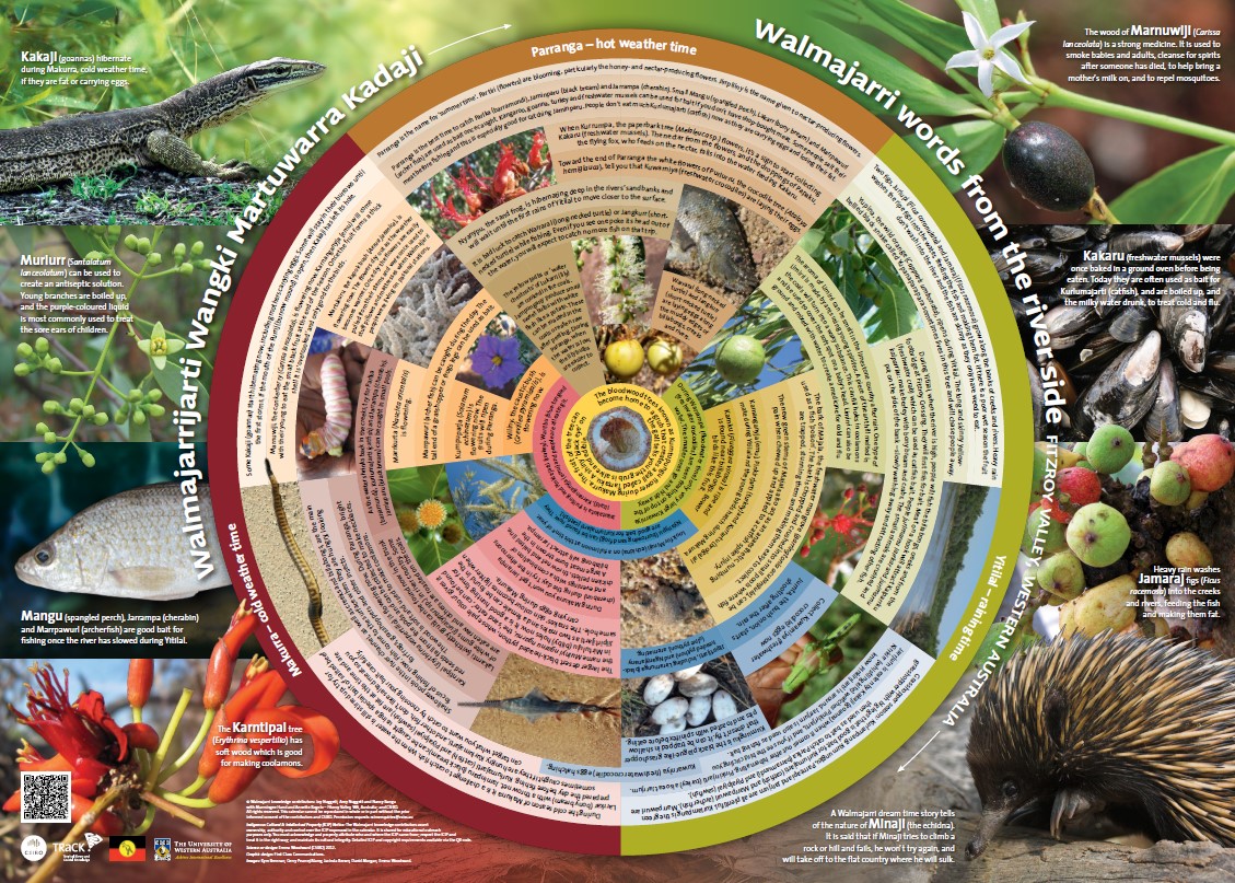 Walmajarri seasons calendar - CSIRO