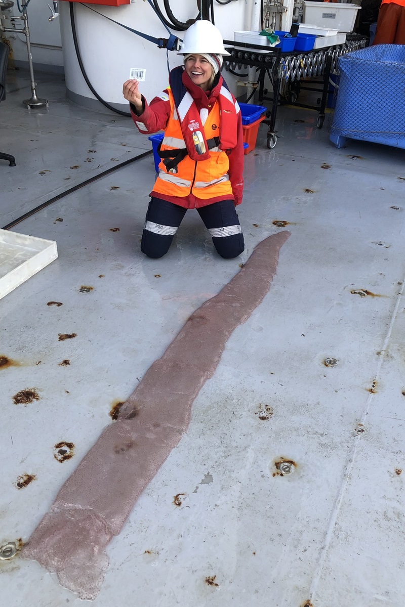 A person in hi vis and a hard hat kneels on the deck of a ship next to a long sock-like creature that looks like it's made of jelly.
