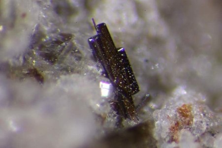tiny and elongated, bluish, almost black coloured crystal growing in a bigger white, shiny crystal