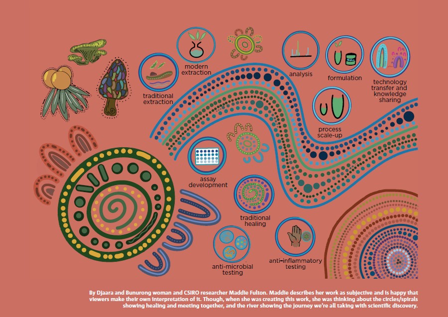 Image by Maddie Fulton showing how Indigenous knowledge and western knowledge work together