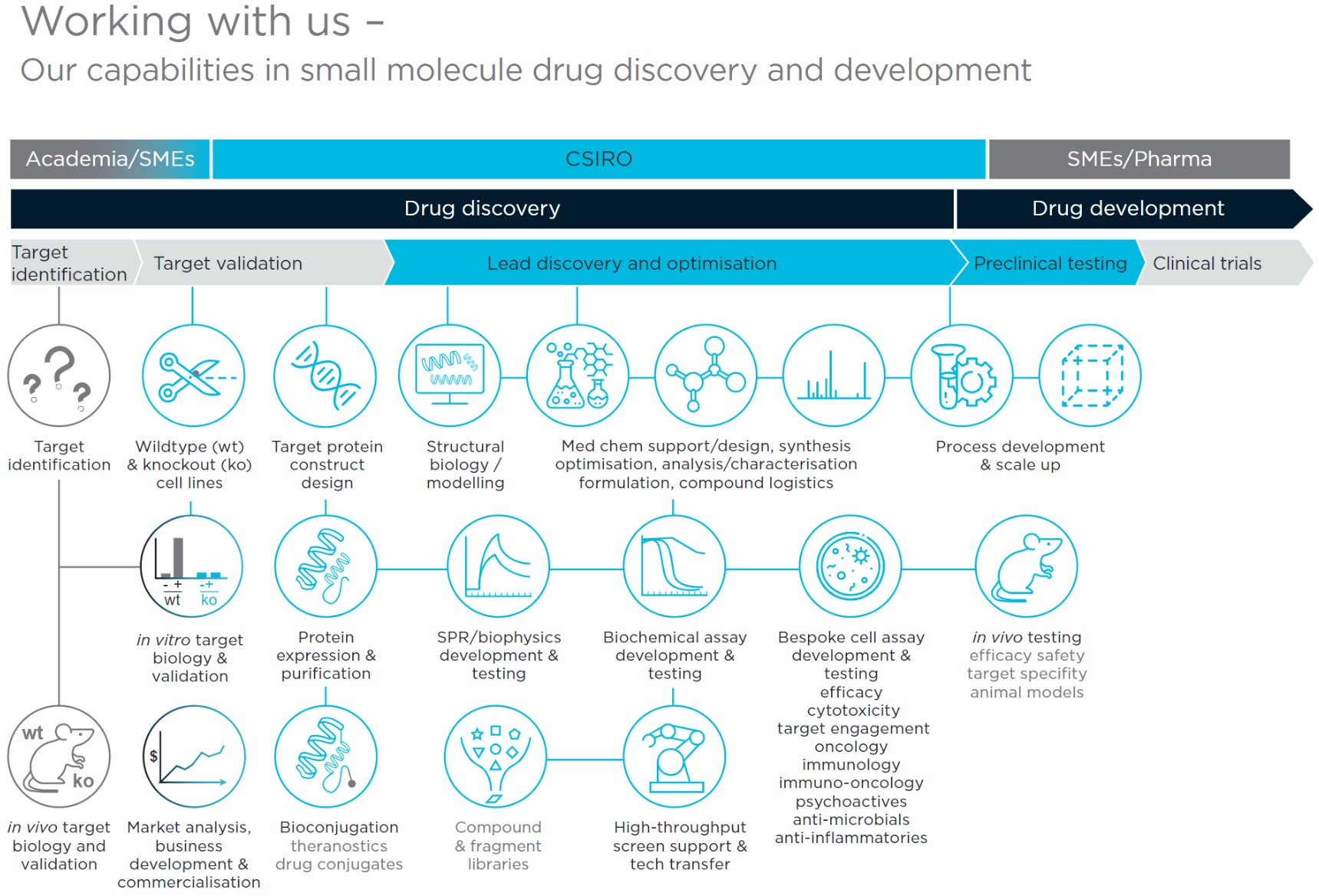 Working With Us - Small Molecule Drug Discovery - CSIRO