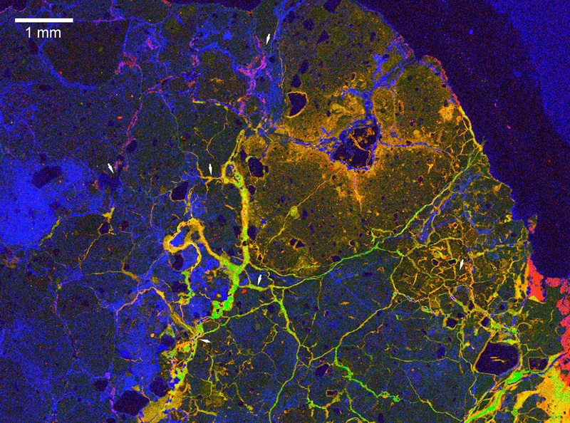 Characterisation image of a clay sample