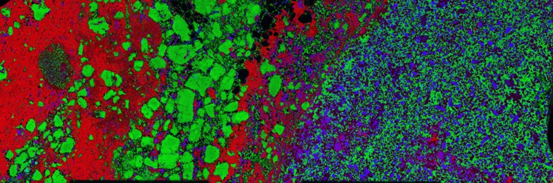 Characterisation showing iron, strontium and rubidium in red, green and blue respectively