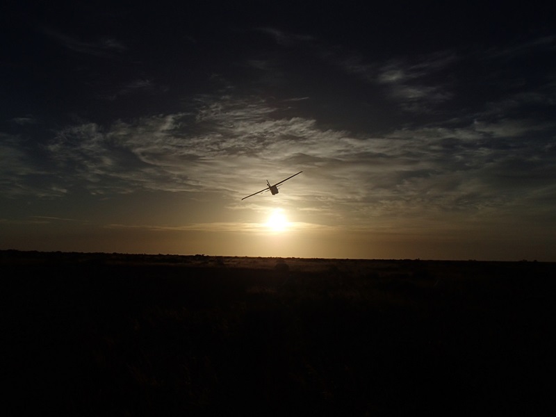 Plan in silhoutte at sunset