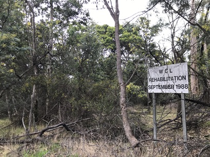 Rehabilitation at Premier Coal mine, Collie Western Australia