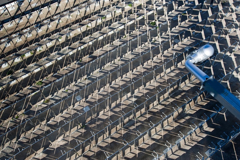 Solar heliostats lined up in a field