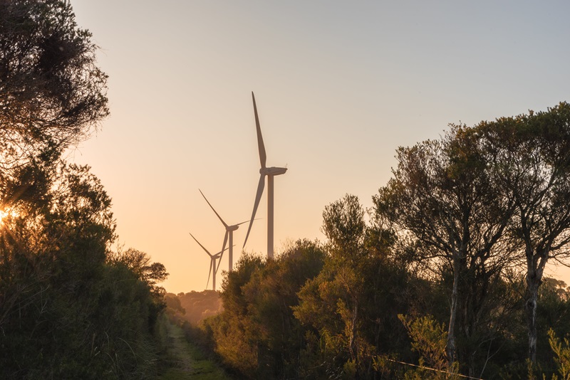 wind turbines 