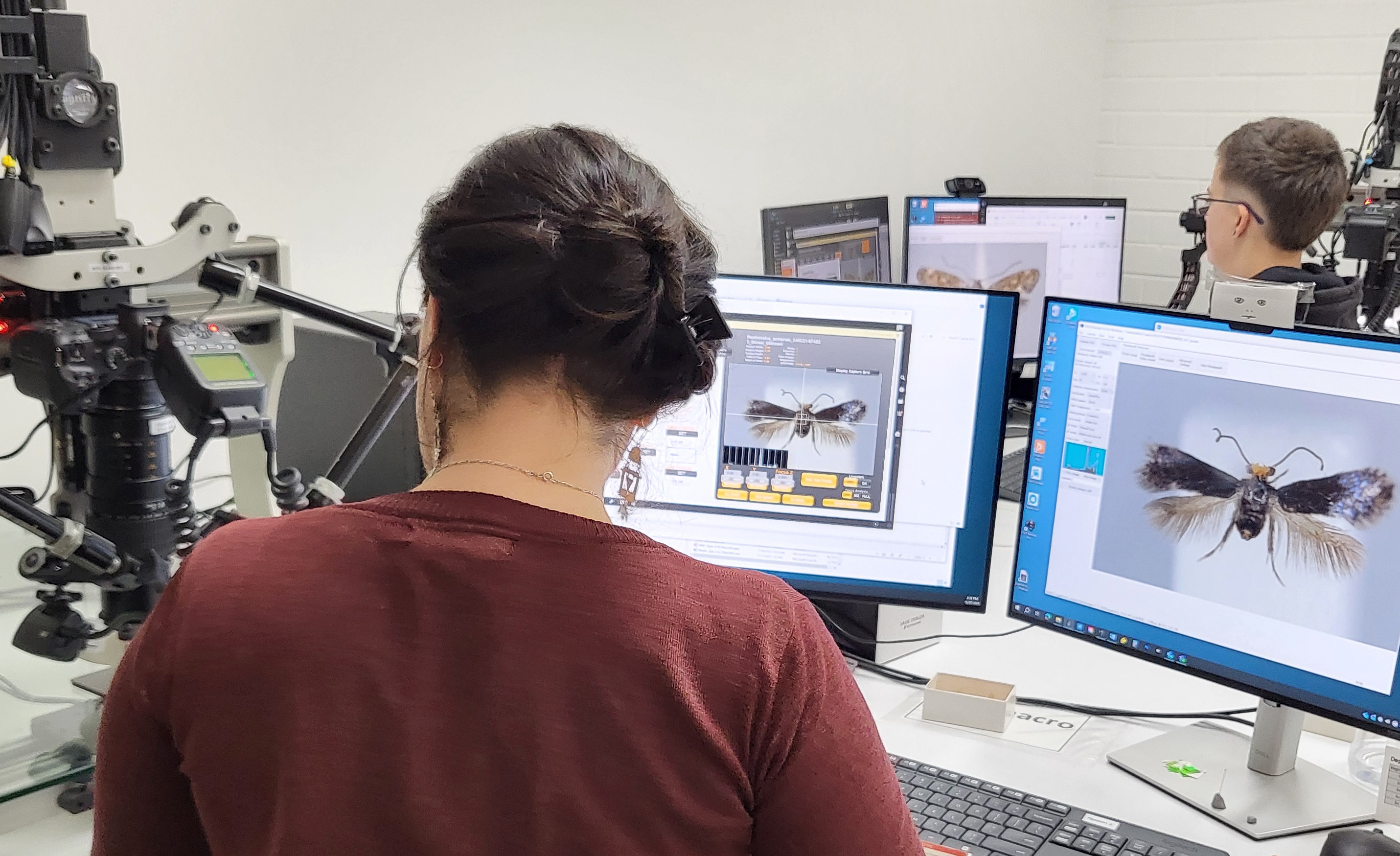 Two people working at digitisation work stations