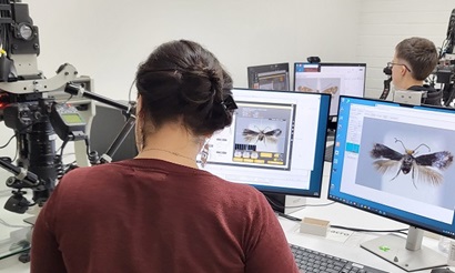 Two people working at digitisation work stations