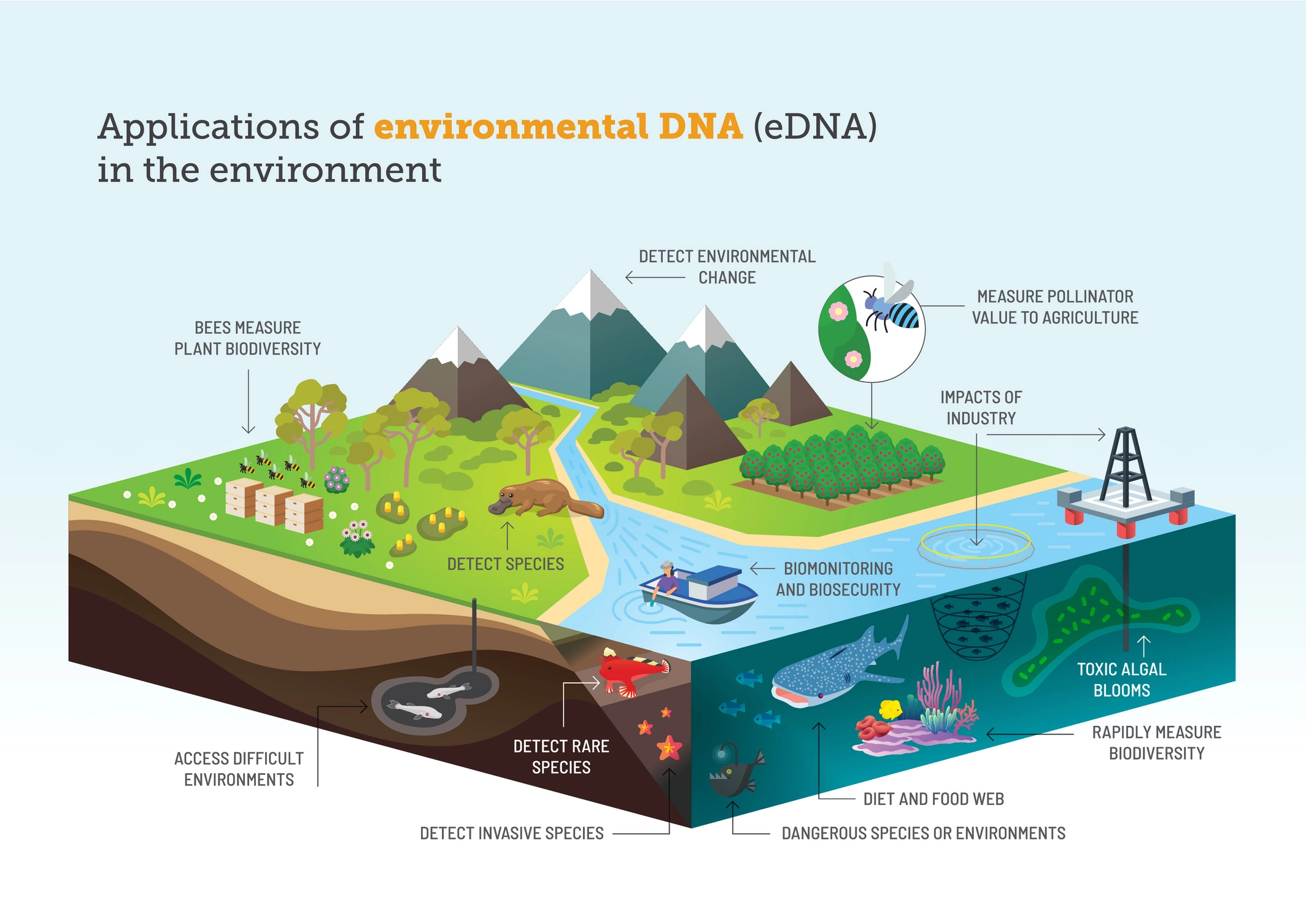 A three dimensional representation of a landscape with fields, mountains and rivers, soil and oceans with words discribing how environmental DNA can be used in each area.