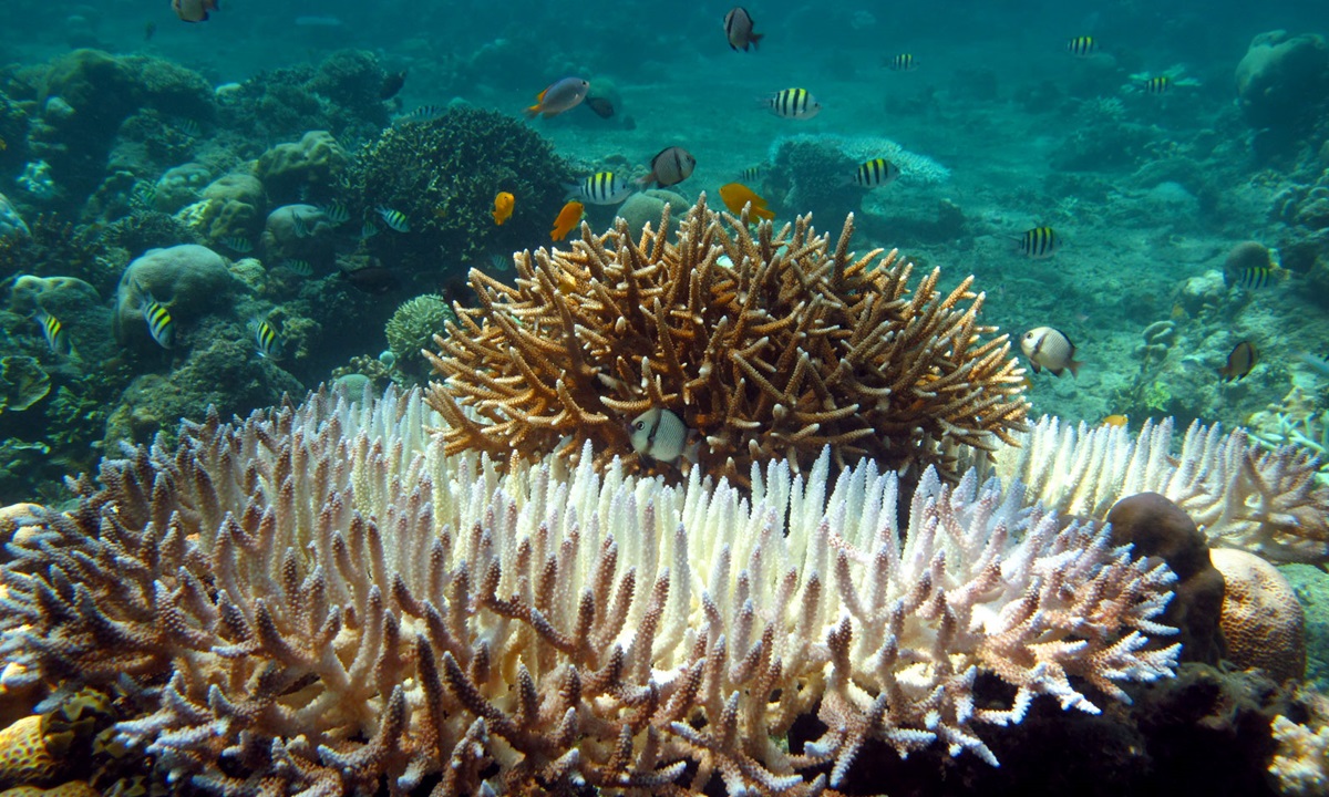 World first marine heatwave research - CSIRO