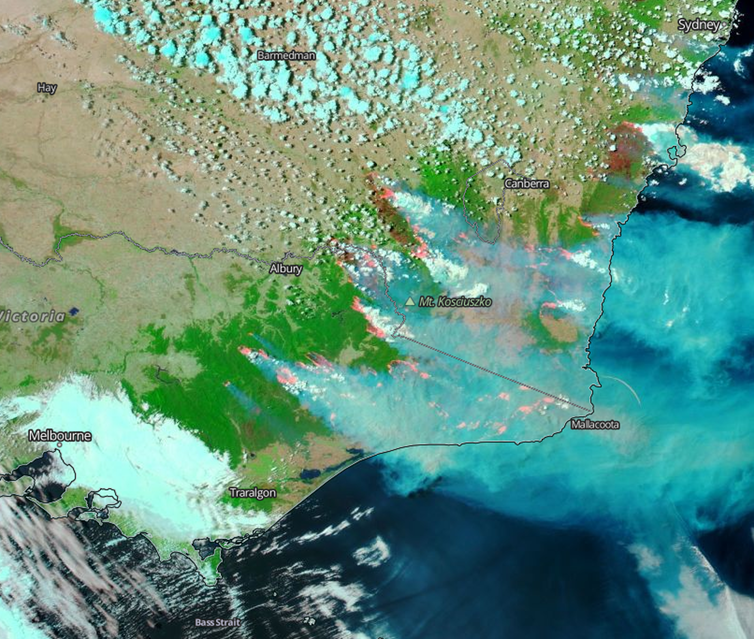 Satellite image with a false colour depiction of South East Australia, meaning the smoke is transparent grey, and red is shown where bushfires have recently burnt. 