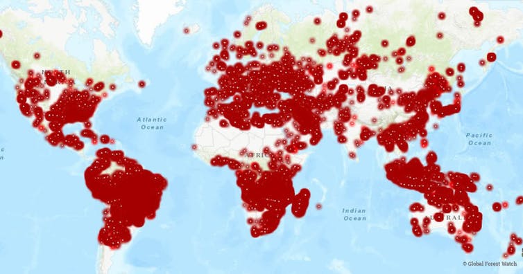 World map with fire hotspots marked around the world, marked in red over the map.
