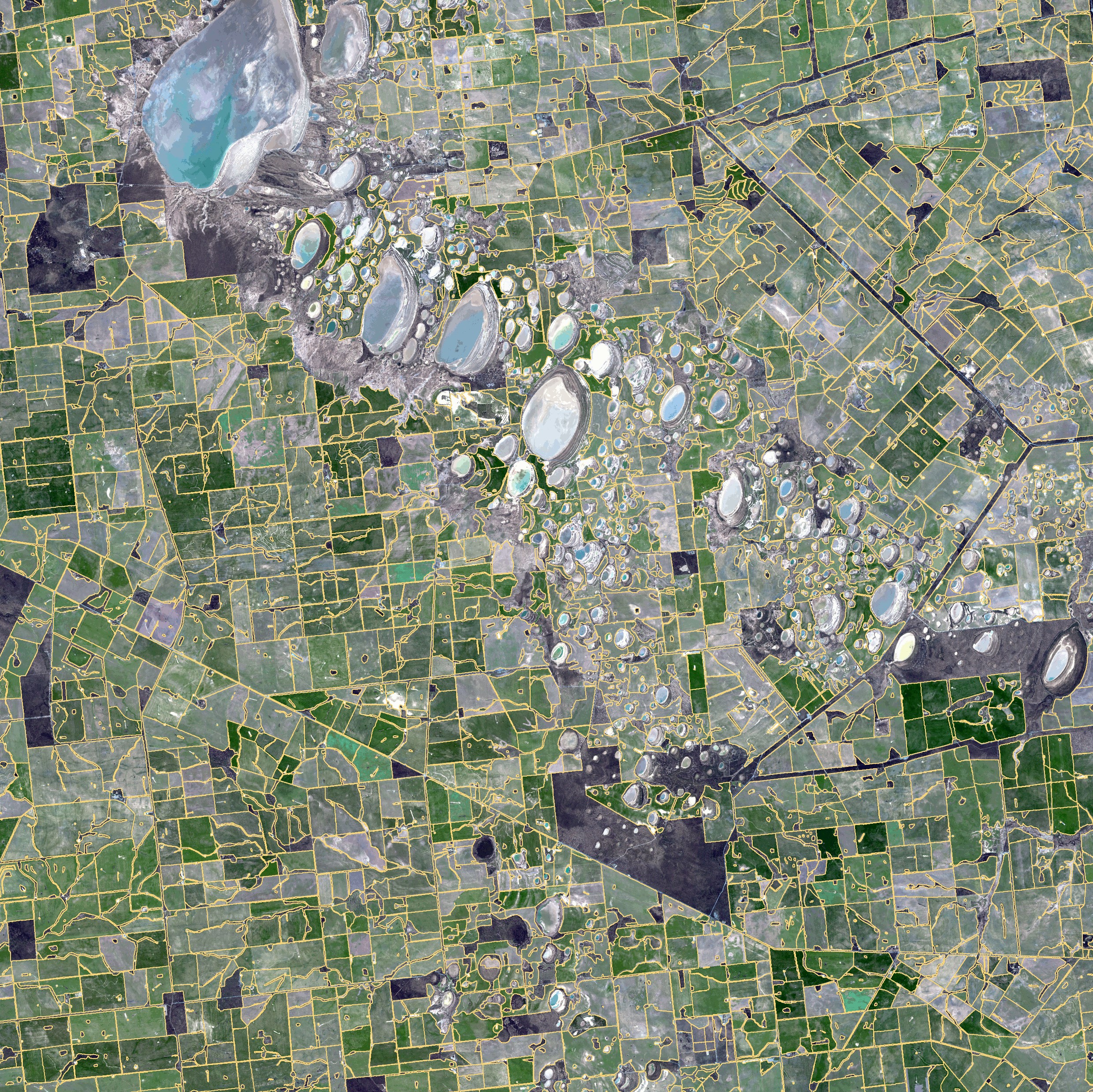 A satellite view of paddocks